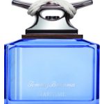 maritime for him perfumes by tommy bahama