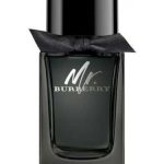 mr burberry eau de parfum burberry