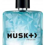 musk freeze avon