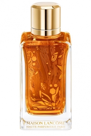 oud ambroisie lancome