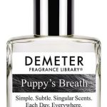 puppys breath demeter