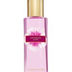 ravishing love perfumes by victorias secret