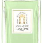 sagamore lancome