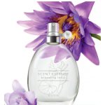 scent essence blooming lotus avon