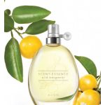 scent essence wild bergamot avon