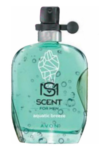 scent for men aquatic breeze avon