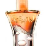 scentini citrus chill avon