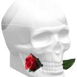 skulls roses for her ed hardy