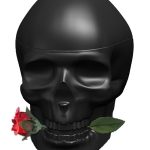 skulls roses for him ed hardy