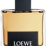 solo perfumes by loewe