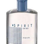 spirit for men aqua avon