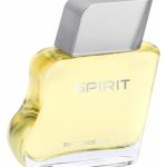 spirit perfumes by swiss arabian