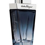 subtil pour homme perfumes by salvatore ferragamo