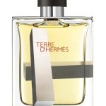 terre dhermes perspective hermes