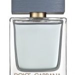 the one gentleman perfumes by dolce gabbana