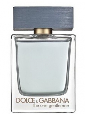 the one gentleman perfumes by dolce gabbana