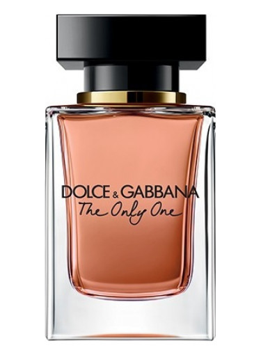 the only one perfumes by dolce gabbana