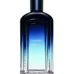 tommy endless blue perfumes by tommy hilfiger