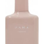 tuberose zara