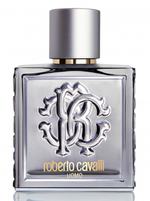 uomo silver essence perfumes by roberto cavalli