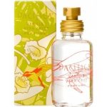 vanilla vera cruz perfumes by pacifica