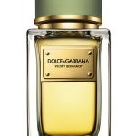 velvet bergamot perfumes by dolce gabbana