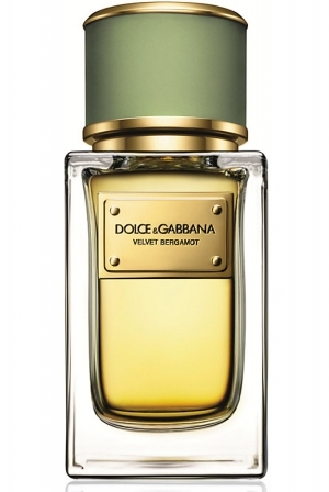 velvet bergamot perfumes by dolce gabbana