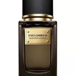 velvet black patchouli perfumes by dolce gabbana