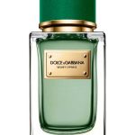 velvet cypress perfumes by dolce gabbana