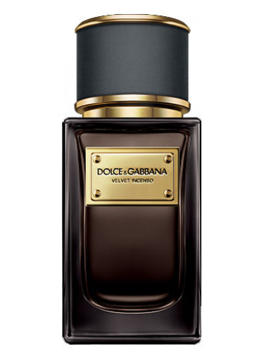 velvet incenso perfumes by dolce gabbana