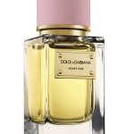 velvet love perfumes by dolce gabbana