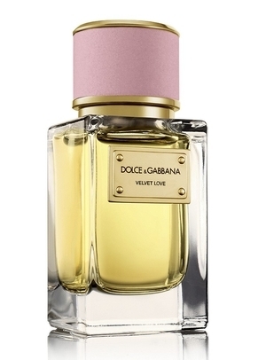 velvet love perfumes by dolce gabbana