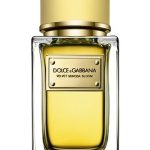 velvet mimosa bloom perfumes by dolce gabbana