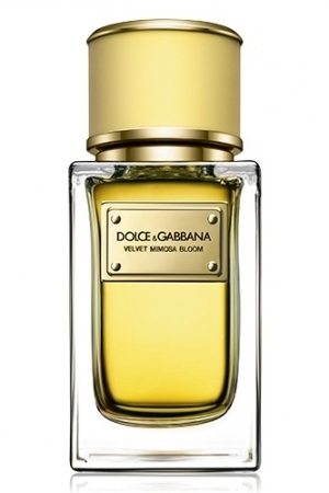 velvet mimosa bloom perfumes by dolce gabbana