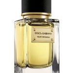 velvet patchouli perfumes by dolce gabbana