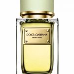 velvet pure perfumes by dolce gabbana