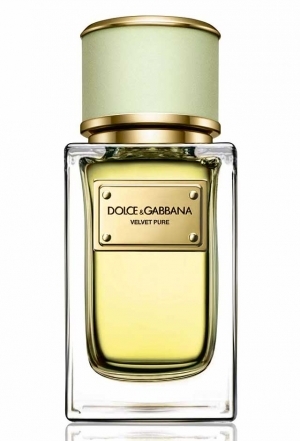 velvet pure perfumes by dolce gabbana