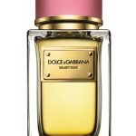 velvet rose perfumes by dolce gabbana