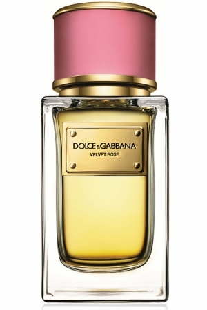 velvet rose perfumes by dolce gabbana