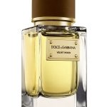 velvet wood perfumes by dolce gabbana