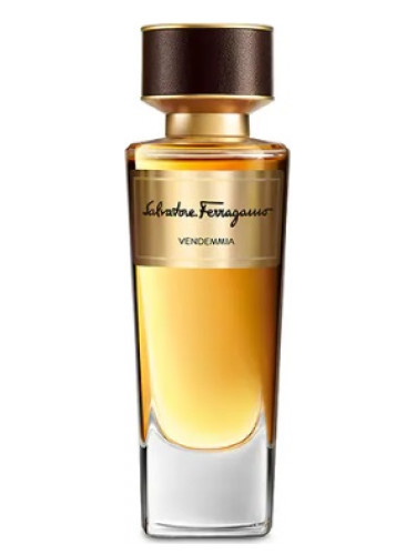 vendemmia perfumes by salvatore ferragamo