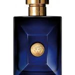 versace pour homme dylan blue versace