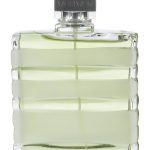 vetiver sport guerlain