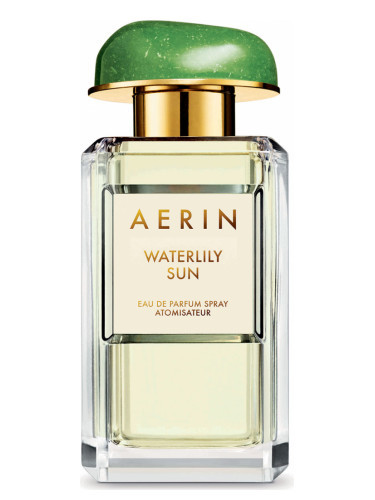 waterlily sun aerin