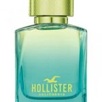 wave 2 for him perfumes by hollister