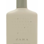 y collection zara