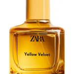 yellow velvet 2021 zara