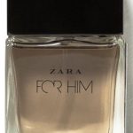 zara for him 2014 zara