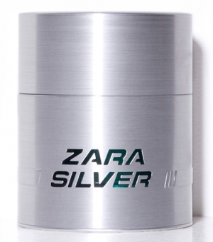 zara silver zara